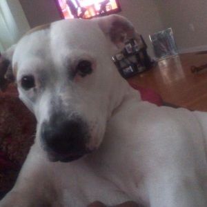 Meet your Posher, Tamikoa